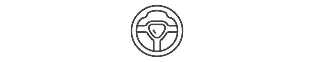 Steering icon